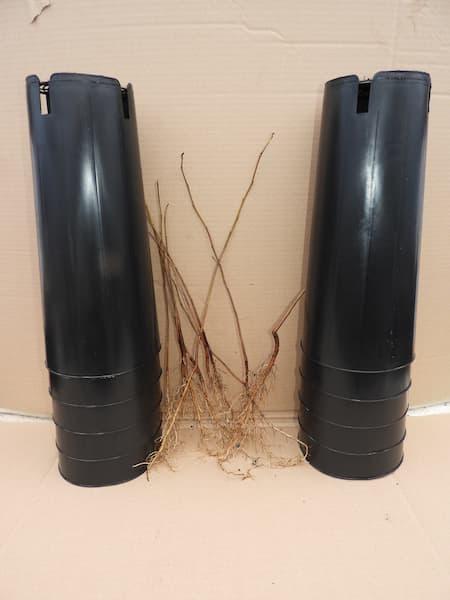 lot 10 Plants en racine nue + 10 pots hauts de 37 cm