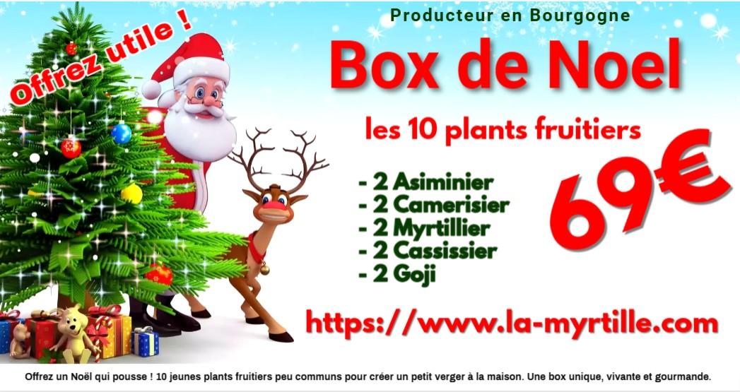 La Box de Noel avec 10 plants fruitiers