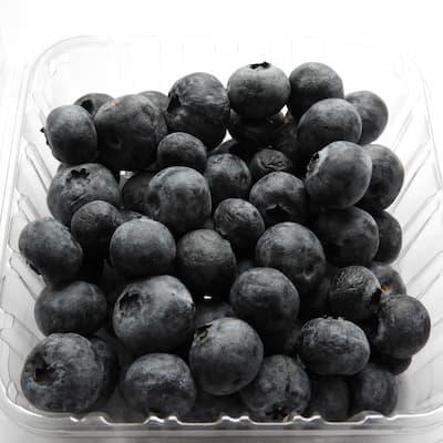 Myrtille “ GOLDTRAUBE ” en godet