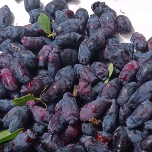 camerises pour confiture