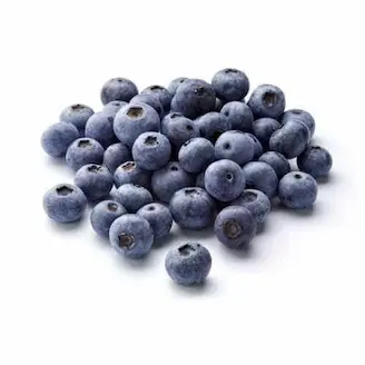 Ramassage de myrtille americaine